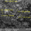 NiFe2O4 nanopowder catalyst