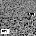 Compressed Nickel Foam with Microporous Layer, 0.4mm