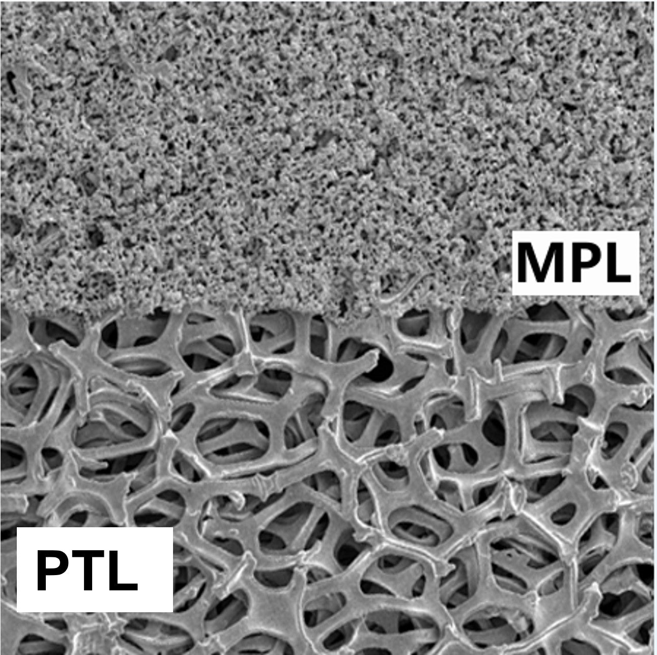 Compressed Nickel Foam with Microporous Layer, 0.4mm